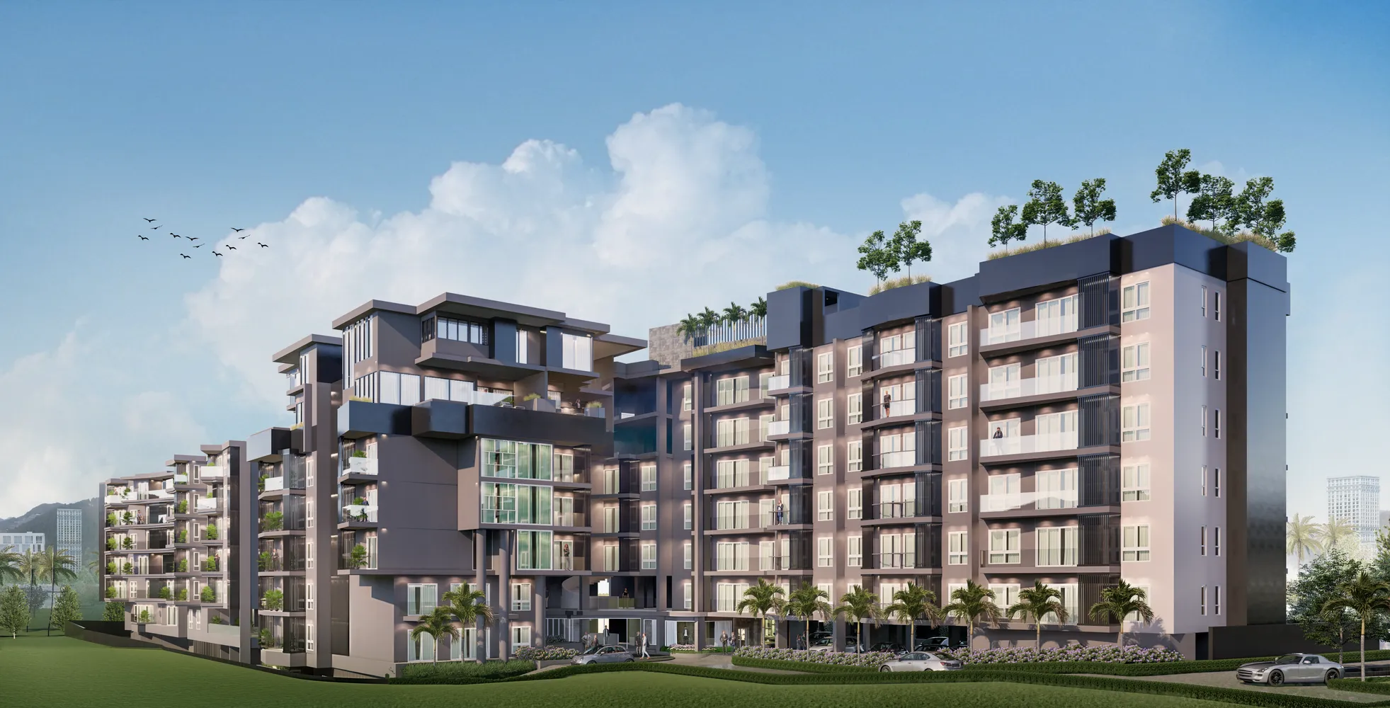 City Luxury Condominium